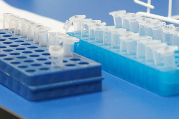 益阳亲子鉴定检测机构预约办理,益阳亲子鉴定需要什么材料和流程 益阳亲子鉴定检测机构预约办理,益阳亲子鉴定需要什么材料和流程