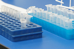 益阳亲子鉴定检测机构预约办理,益阳亲子鉴定需要什么材料和流程 益阳亲子鉴定检测机构预约办理,益阳亲子鉴定需要什么材料和流程