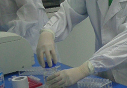 益阳权威司法亲子鉴定机构哪里有，益阳司法DNA亲子鉴定结果需要多久